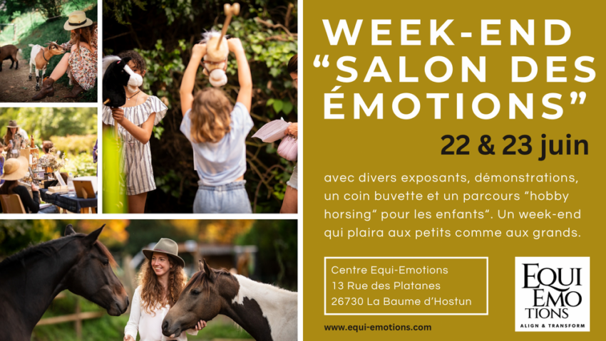 « Salon des émotions » week-end portes ouvertes avec divers exposants
