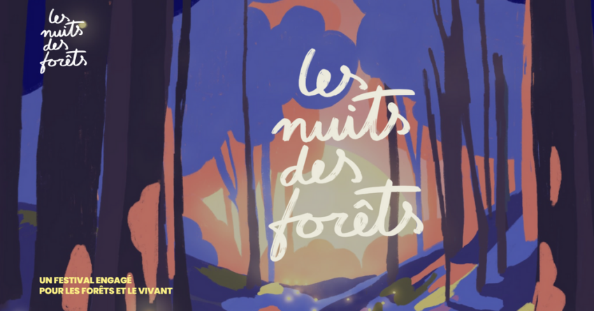 Les Nuits des Forêts: Balades, écoute nocturne et dessins